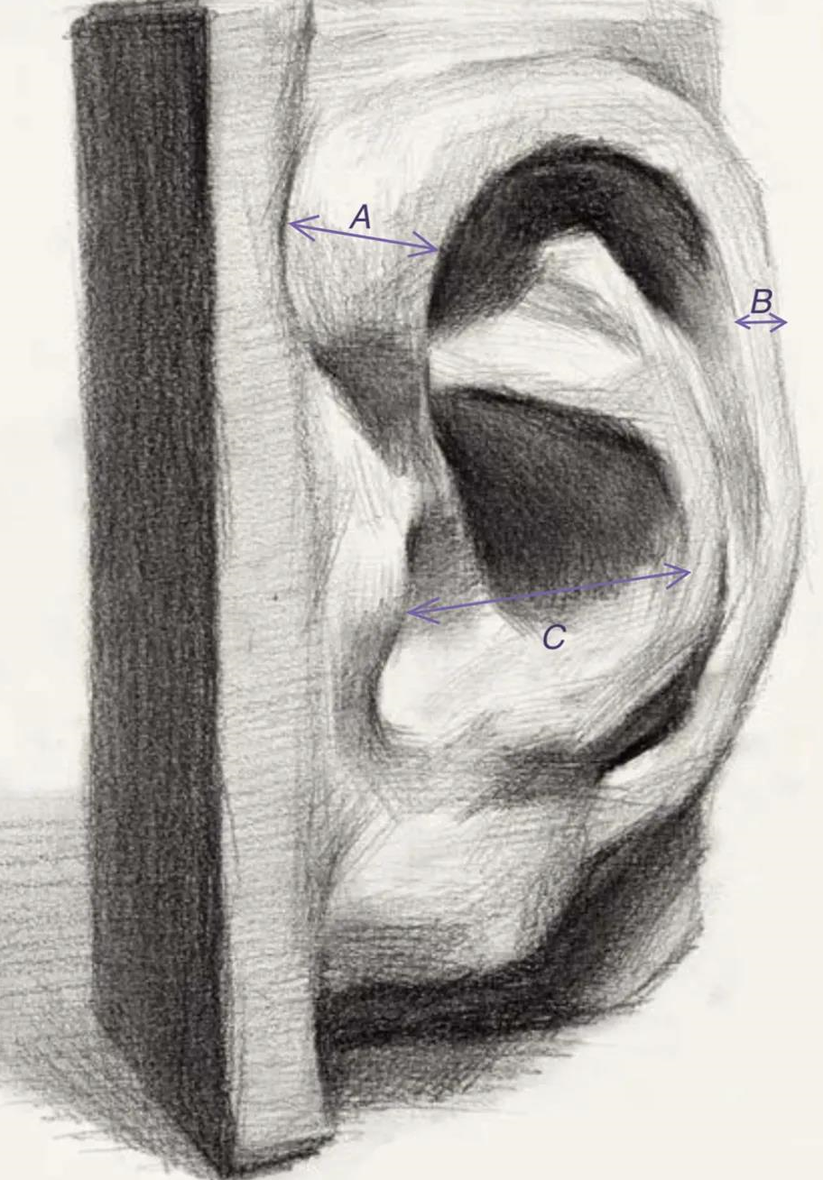 素描耳朵怎么画？南京画室全方位解析耳朵画法！2